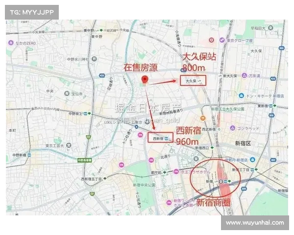 新宿异变:大久保公园站街女为何青睐中国游客?(东京大久保离新宿多远) 新宿异变:大久保公园站街女为何青睐中国游客?(东京大久保离新宿多远)