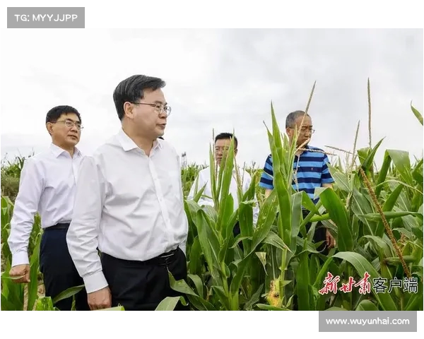 事关重大!多地书记省长紧急部署,确保关键决策落地实施(省委书记发话了严管严控) 事关重大!多地书记省长紧急部署,确保关键决策落地实施(省委书记发话了严管严控)